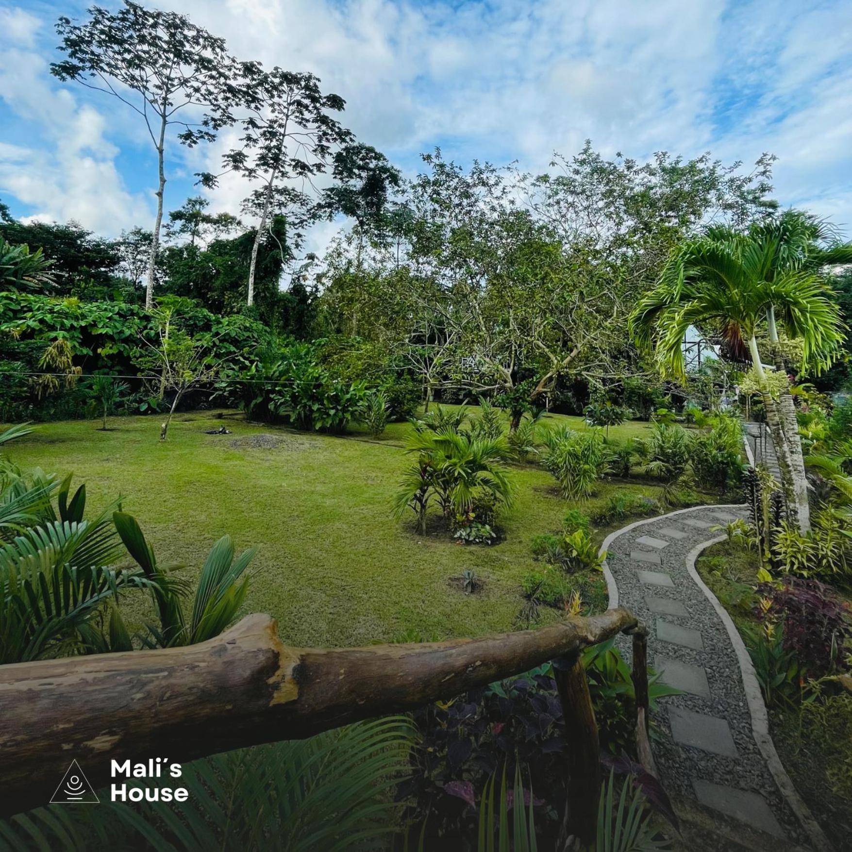 Mali'S House Hotel La Fortuna Kültér fotó
